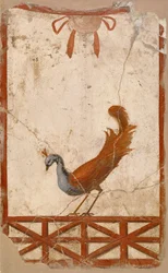 Wandfragment mit einem Pfau